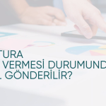 Softnet E-Fatura Tekrar İletimi